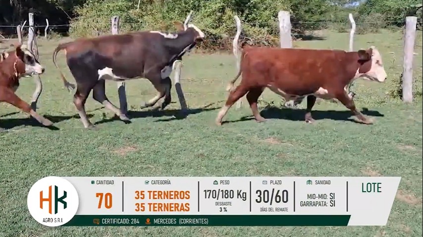 LOTE 34