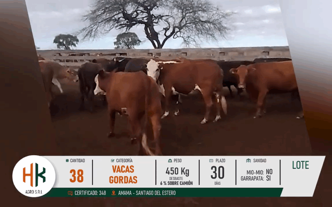 LOTE 03 BIS